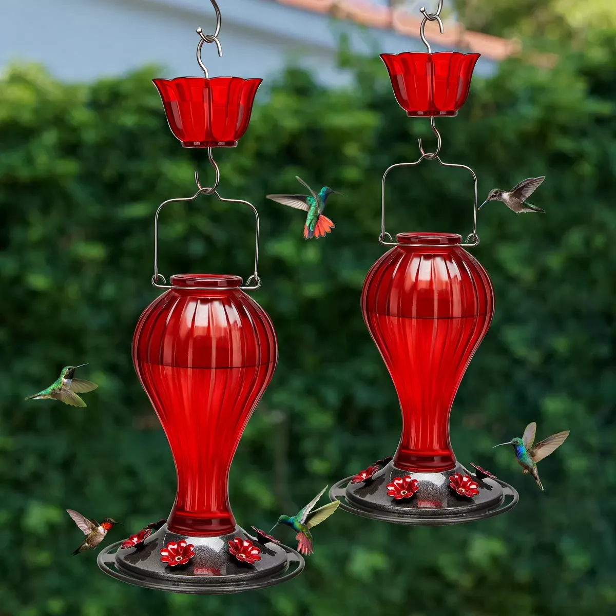 Red Kingsyard 24oz Leak Proof Glass Hummingbird Feeder with Ant Moat 1 Red Kingsyard 24oz Leak Proof Glass Hummingbird Feeder with Ant Moat 1