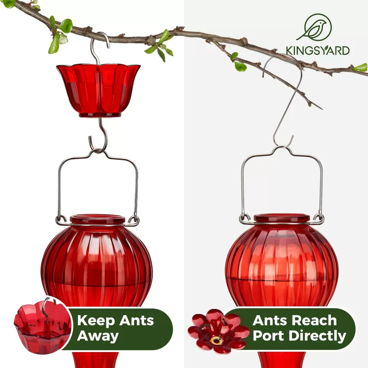 Red Kingsyard 24oz Leak Proof Glass Hummingbird Feeder with Ant Moat 7 Red Kingsyard 24oz Leak Proof Glass Hummingbird Feeder with Ant Moat 7