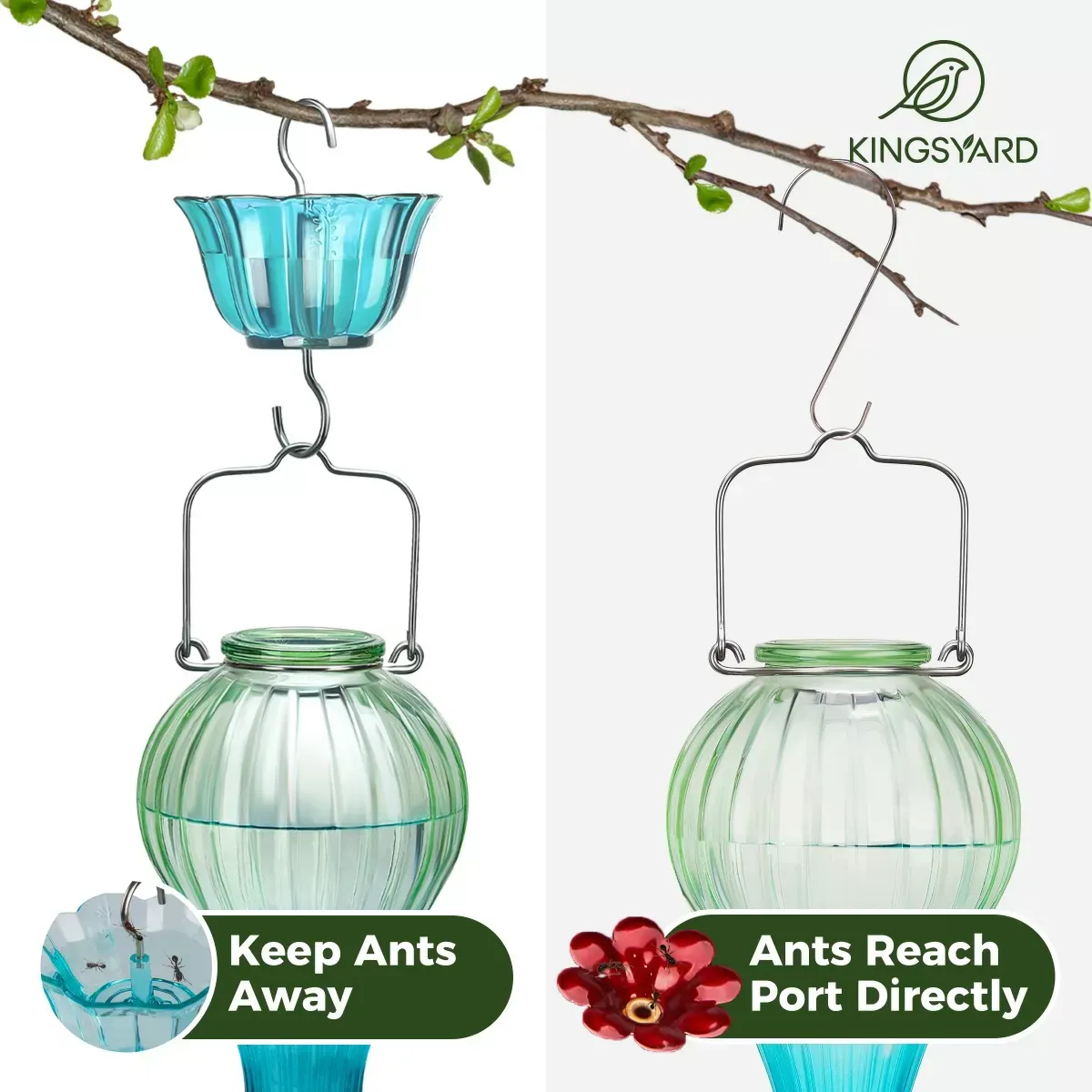 Green&Blue Kingsyard 24oz Leak Proof Glass Hummingbird Feeder with Ant Moat 6