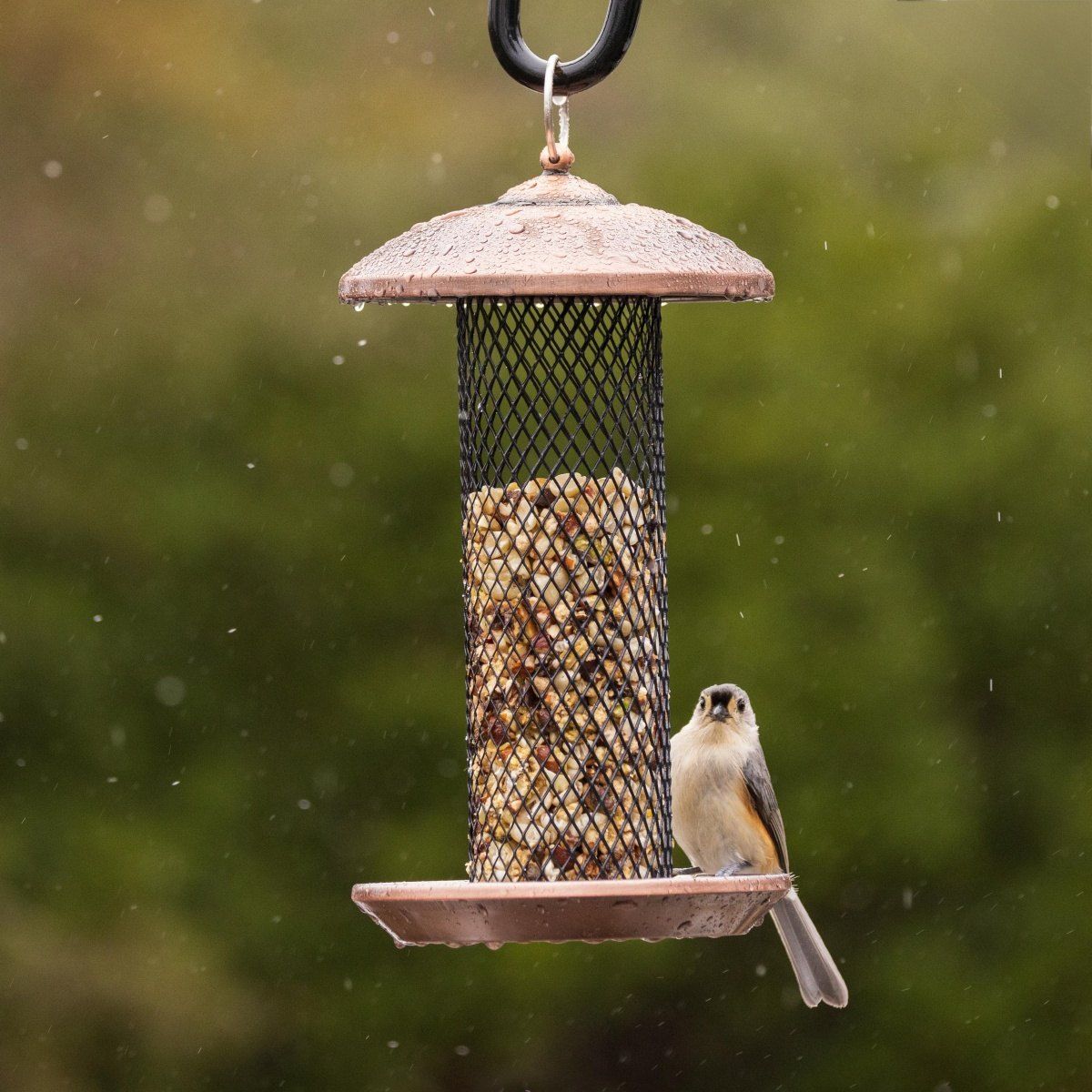 Kingsyard Heavy Duty Metal Mesh Bird Feeder