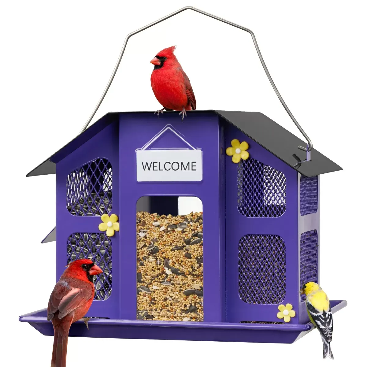 Purple Kingsyard Weatherproof Metal Mesh House Hopper Bird Feeder 2