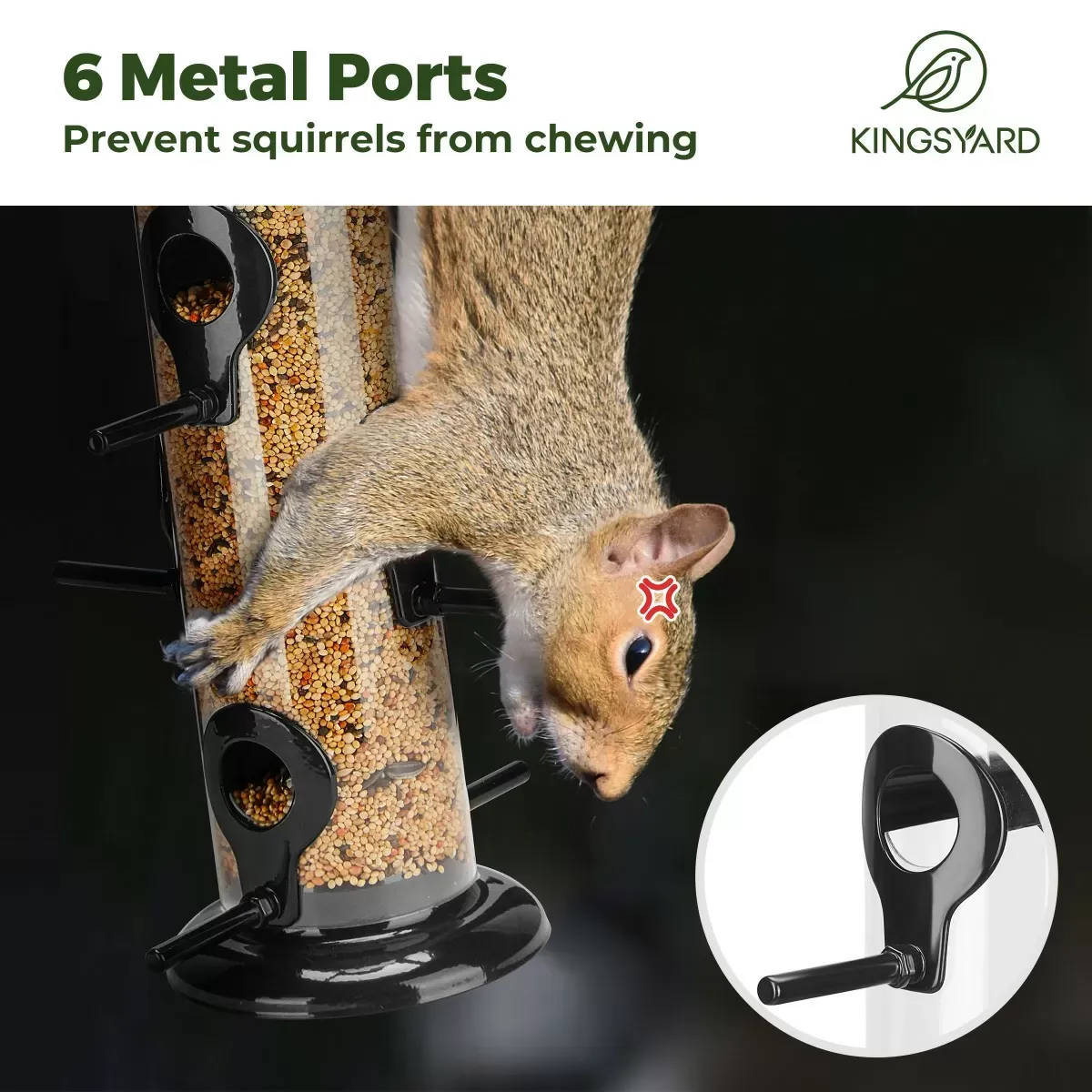 Black Kingsyard Chew-proof Metal Tube Bird Feeders 8