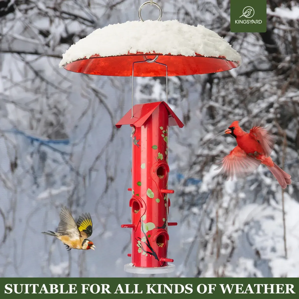 Red Kingsyard Squirrel & Weather Guard Dome for Hanging Bird Feeders 4