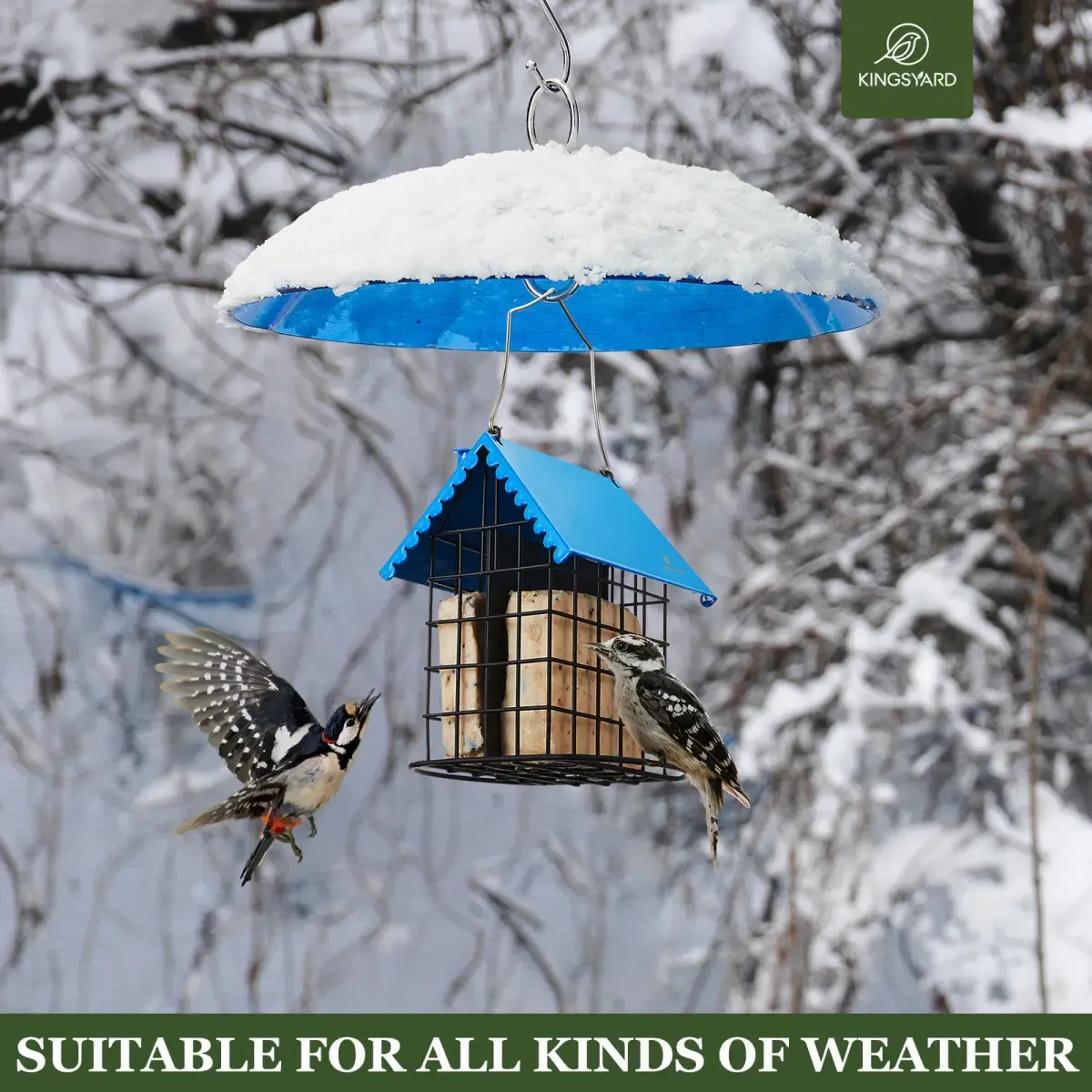 Blue Kingsyard Squirrel & Weather Guard Dome for Hanging Bird Feeders 4