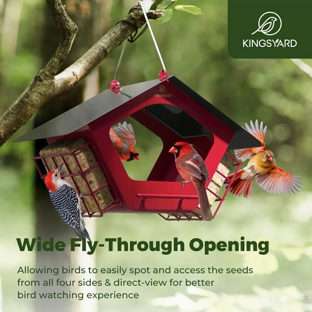 Red Kingsyard Metal 2 in 1 Mixed Seeds Bird Feeders 6