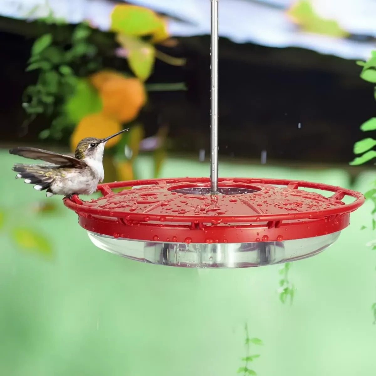 Updated Red Kingsyard 12oz Tray Hummingbird Feeder With Ant Moat 1 Updated Red Kingsyard 12oz Tray Hummingbird Feeder With Ant Moat 1
