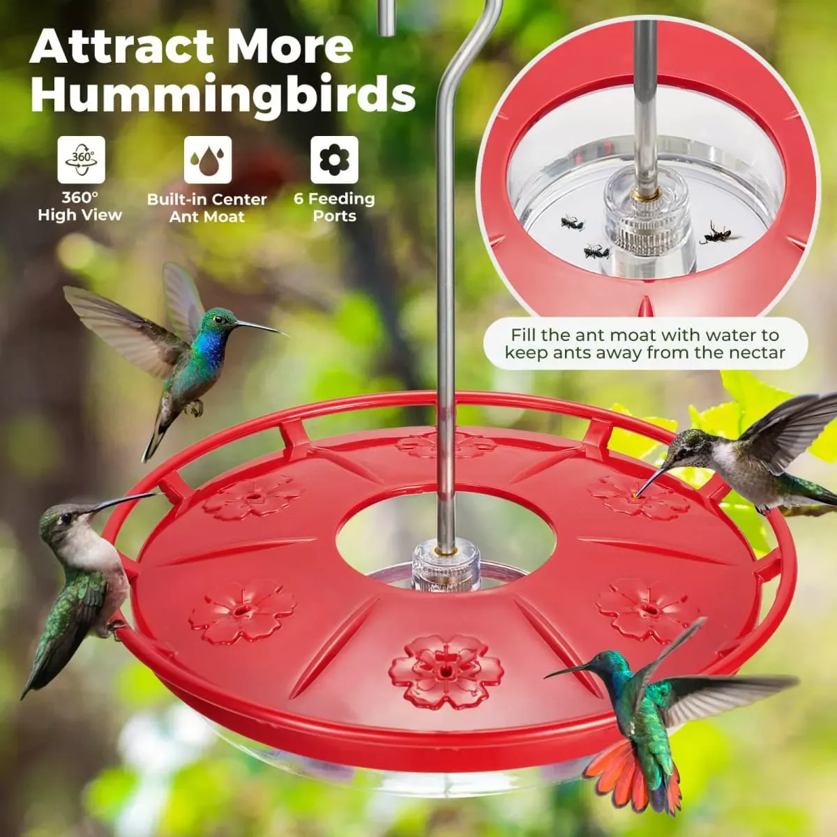 Updated Red Kingsyard 12oz Tray Hummingbird Feeder With Ant Moat 4 Updated Red Kingsyard 12oz Tray Hummingbird Feeder With Ant Moat 4