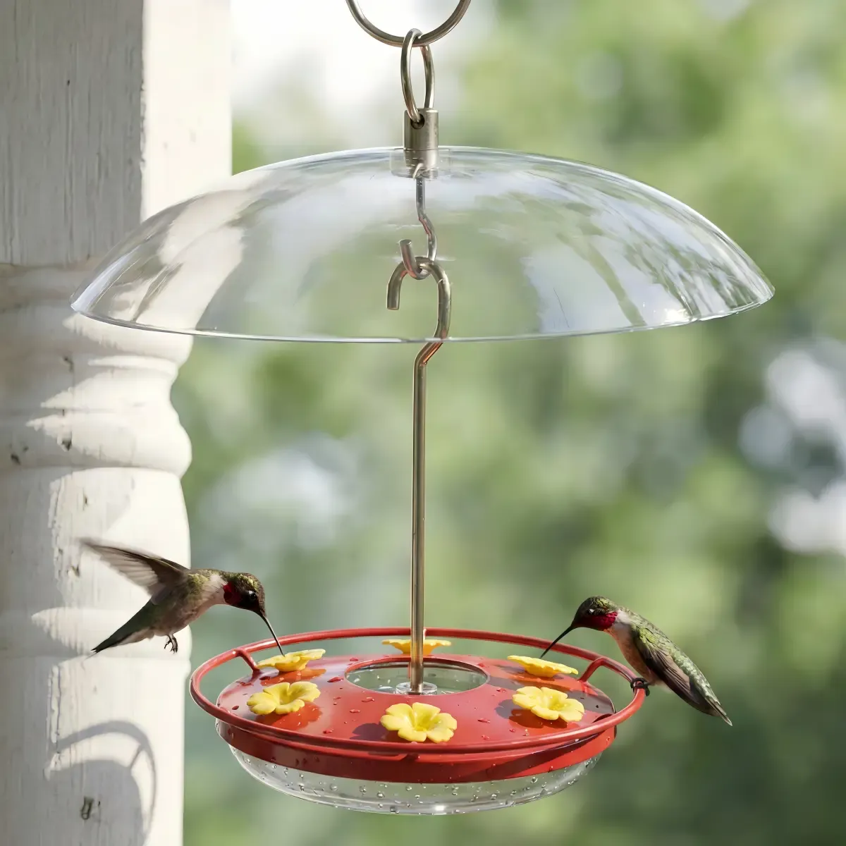 Kingsyard 12oz Tray Hummingbird Feeder with Weatherproof Dome &amp; Ant Moat