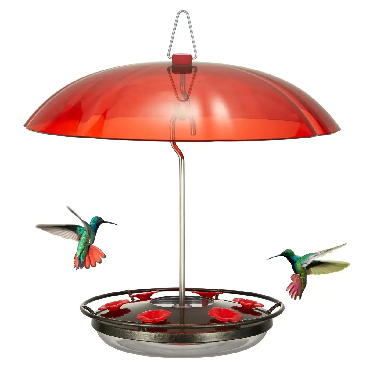 Black Kingsyard 12oz Tray Hummingbird Feeder with Weatherproof Dome & Ant Moat 2