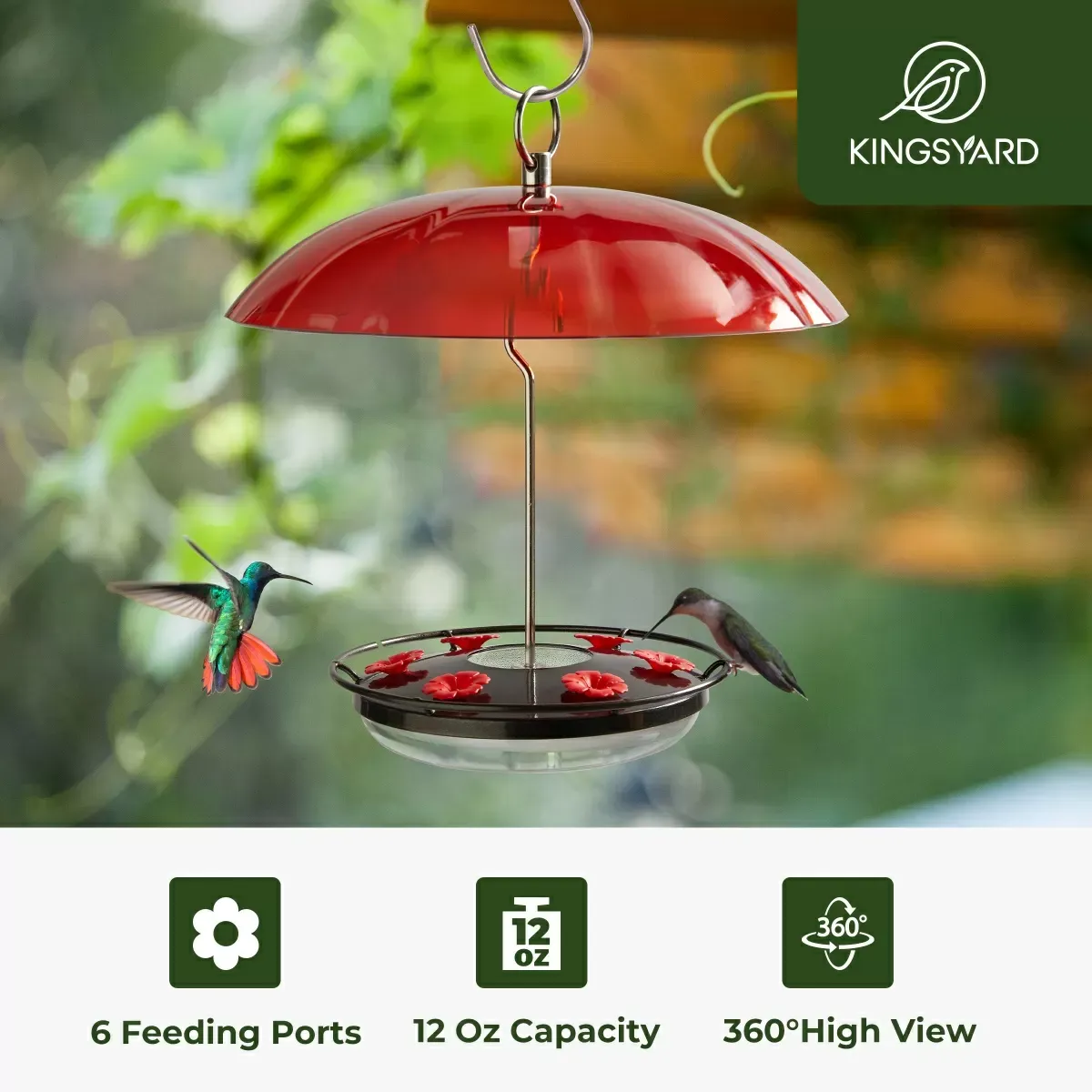 Black Kingsyard 12oz Tray Hummingbird Feeder with Weatherproof Dome & Ant Moat 4