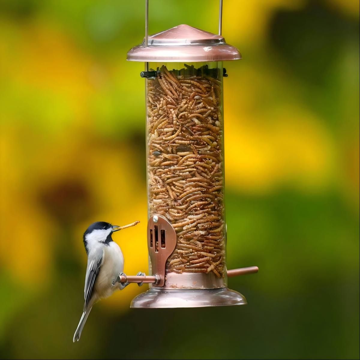 Kingsyard Extra Sturdy Tube Bluebird Mealworm Feeder