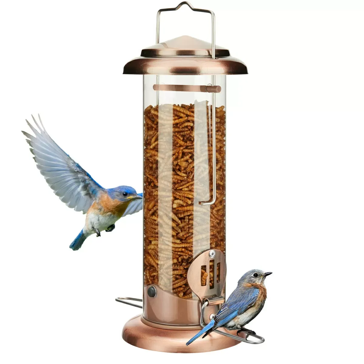 Antique Copper Kingsyard Extra Sturdy Tube Bluebird Mealworm Feeder 2