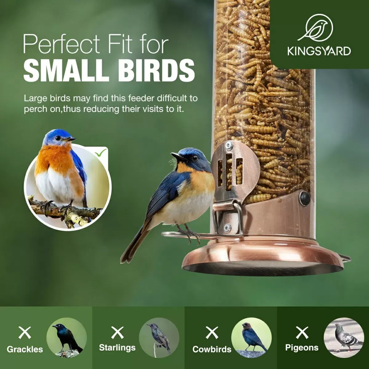 Kingsyard Extra Sturdy Tube Bluebird Mealworm Feeder 6