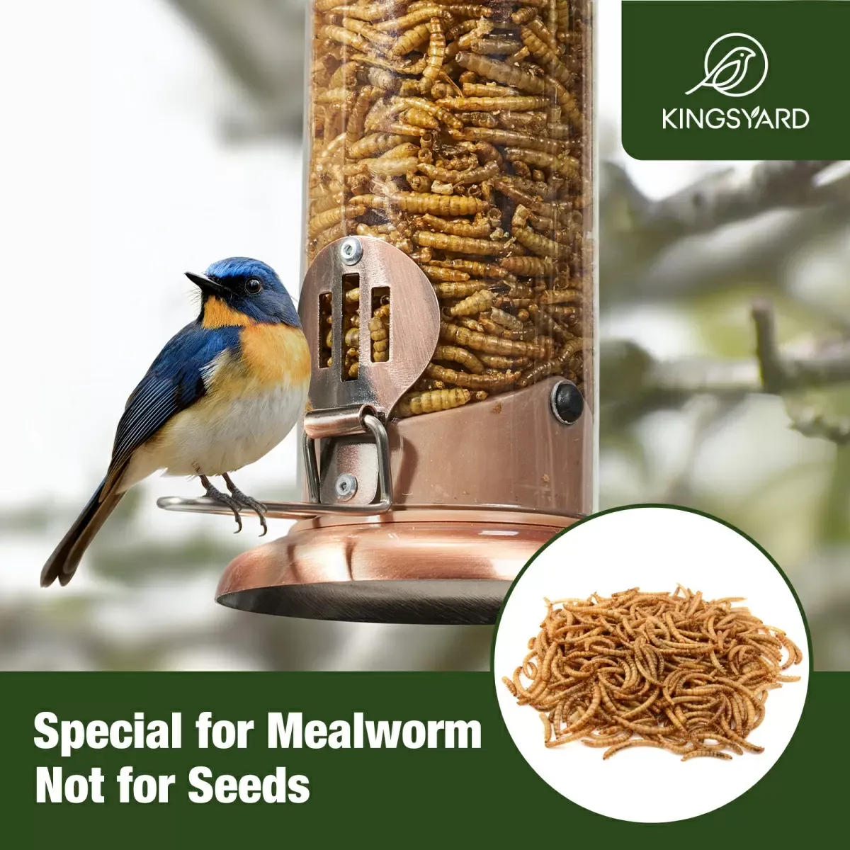 Kingsyard Extra Sturdy Tube Bluebird Mealworm Feeder 7