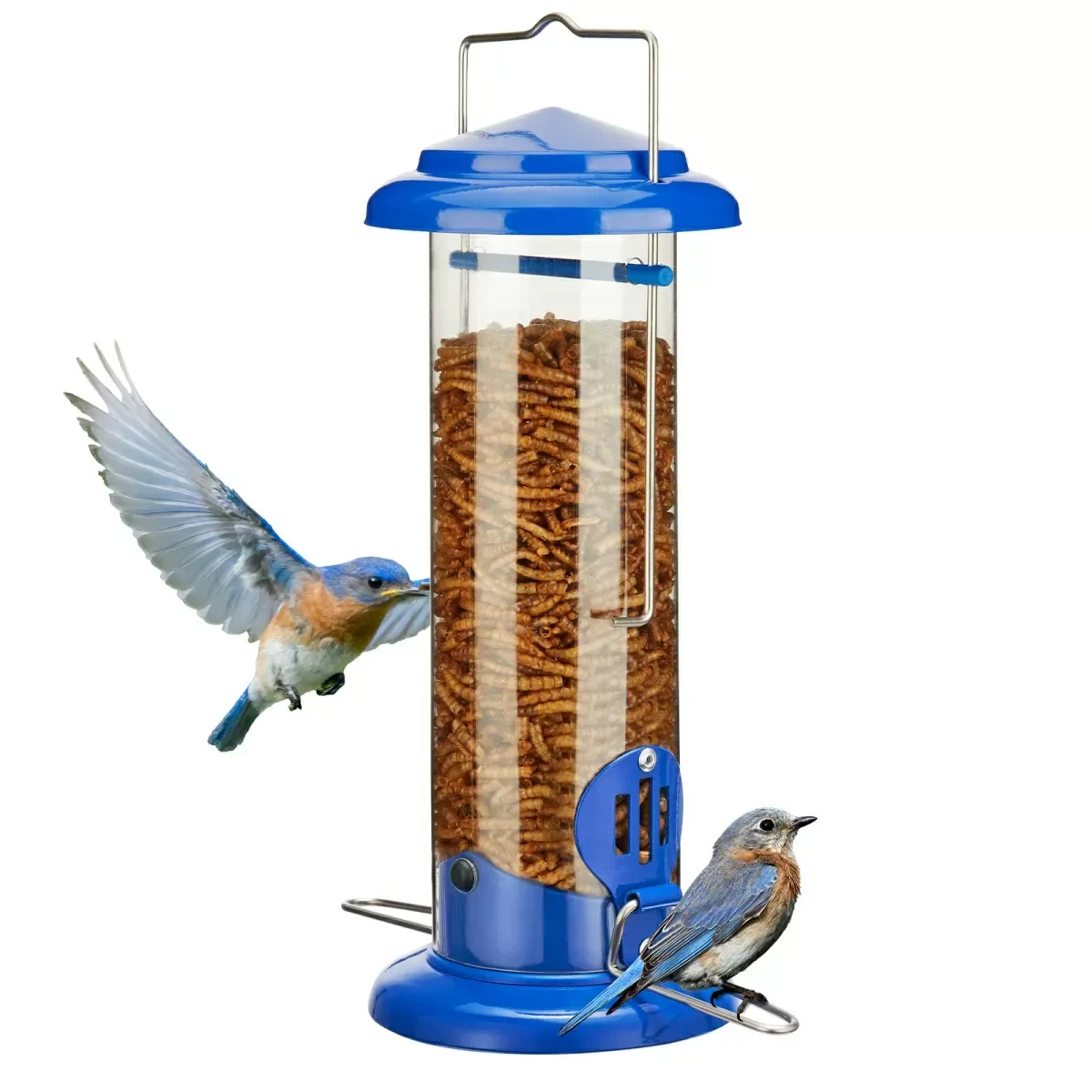 Blue Kingsyard Extra Sturdy Tube Bluebird Mealworm Feeder 2