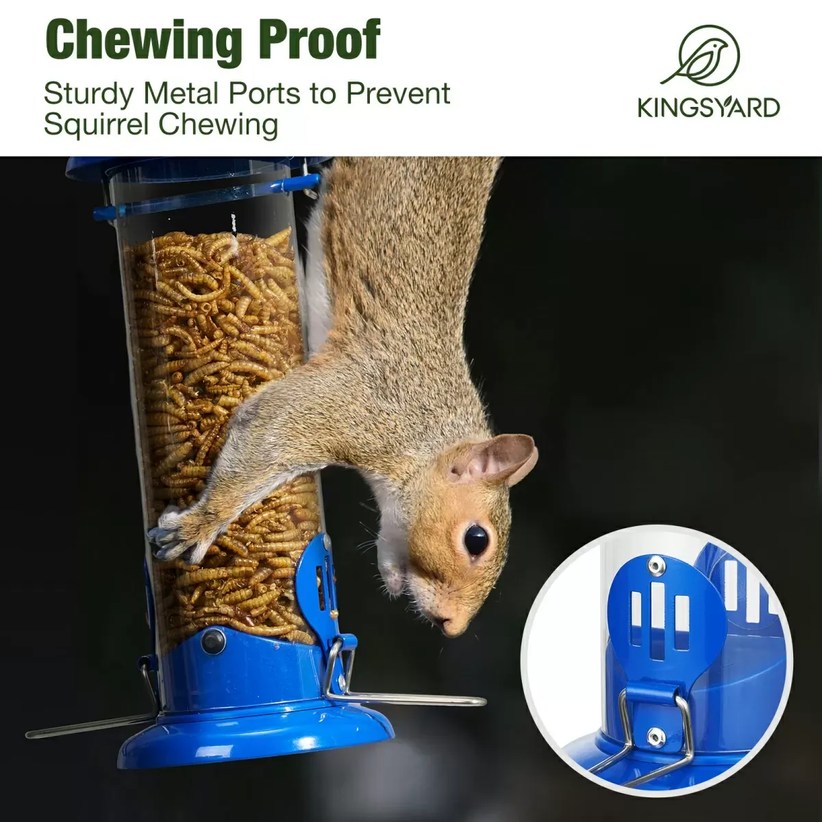 Blue Kingsyard Extra Sturdy Tube Bluebird Mealworm Feeder 8