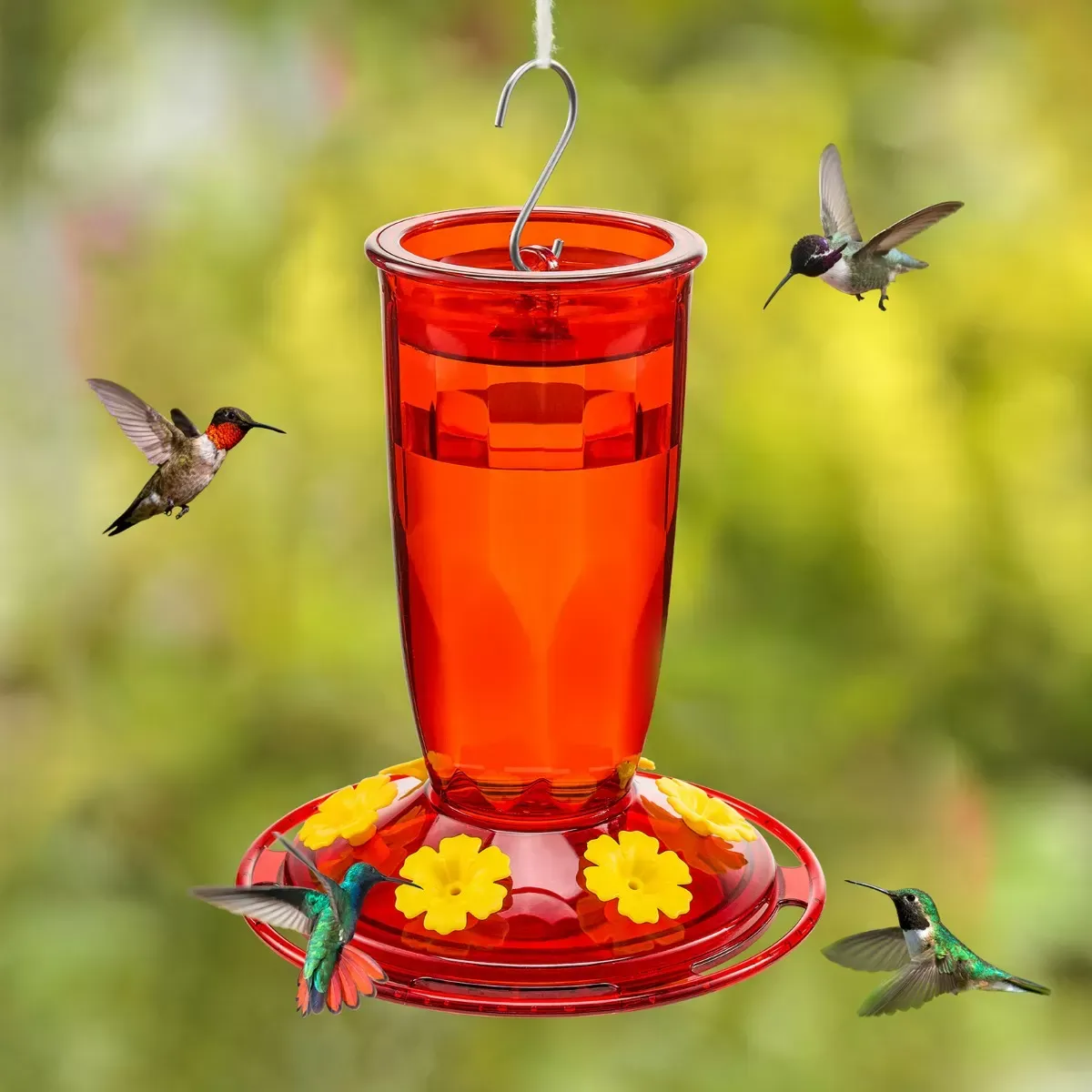 Red Kingsyard 16oz Plastic Hummingbird Feeder with Bee & Ant Proof 6
