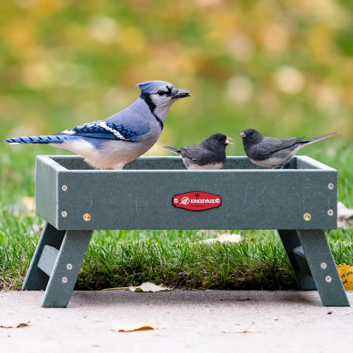 Kingsyard Recycled Plastic Ground Feeder For Birds and Chickens