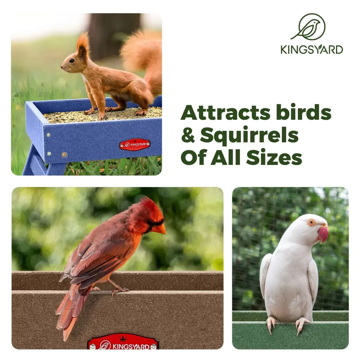 Green Kingsyard Recycled Plastic Ground Feeder For Birds and Chickens 5