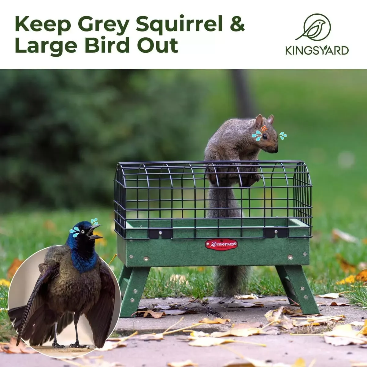 Kingsyard Squirrel Proof Caged Ground Bird Feeder 7