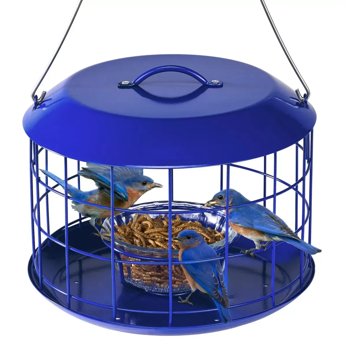 Blue Kingsyard Metal Caged Squirrel Proof Bluebird Feeders 2