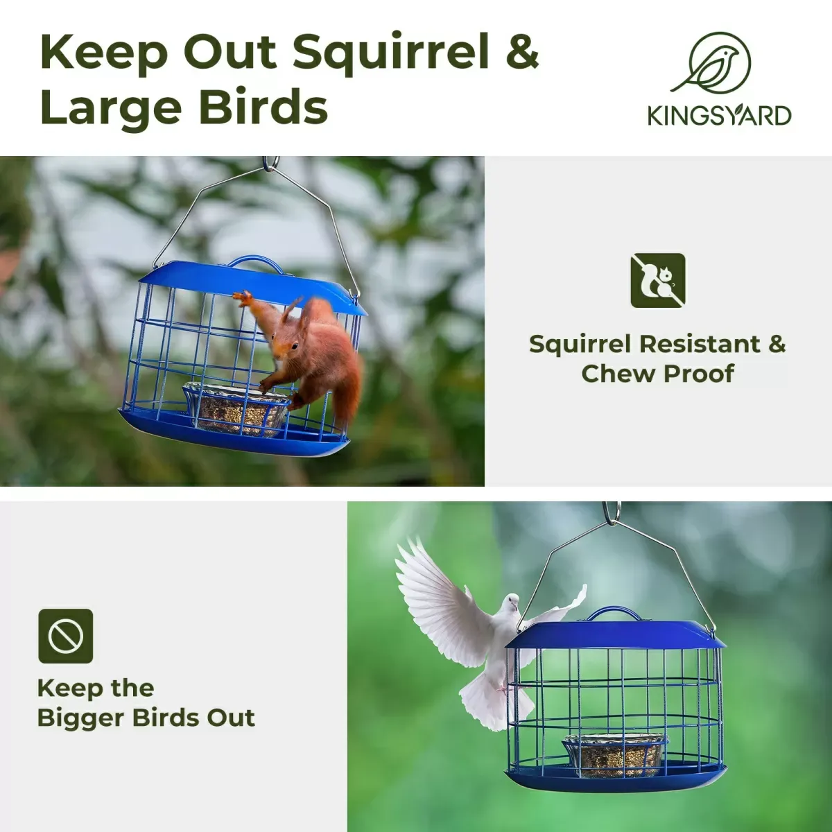 Kingsyard Metal Caged Squirrel Proof Bluebird Feeders 5