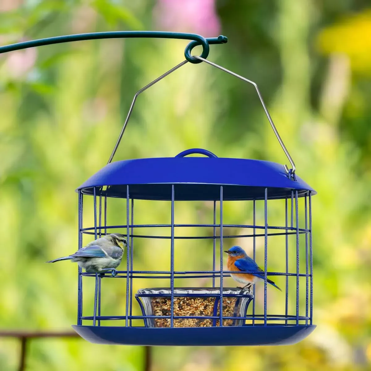 Blue Kingsyard Metal Caged Squirrel Proof Bluebird Feeders 6
