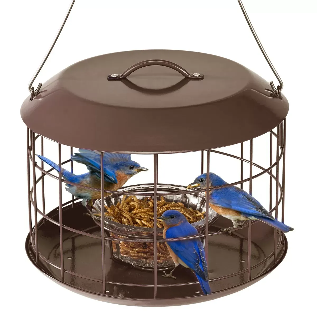 Brown Kingsyard Metal Caged Squirrel Proof Bluebird Feeders 2