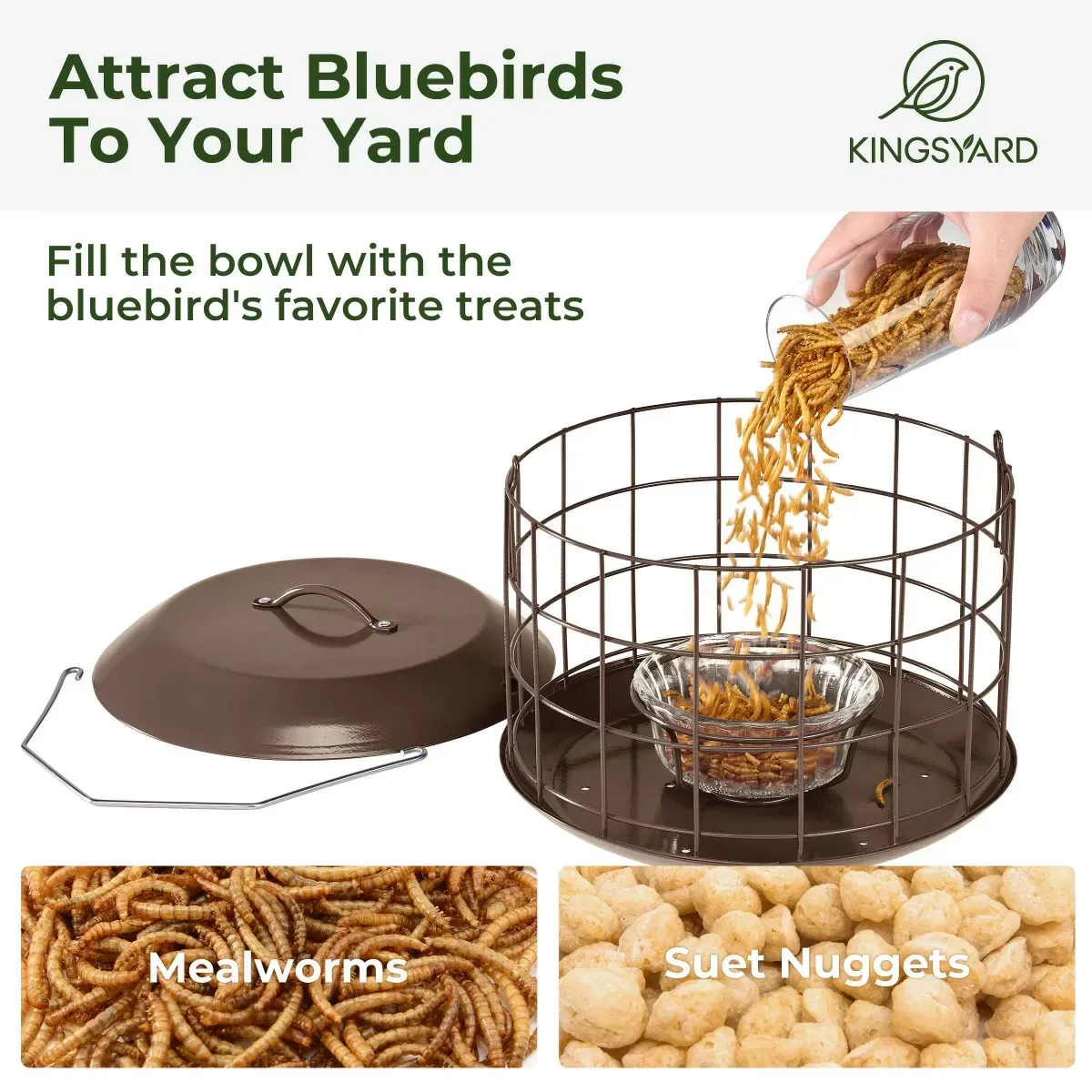 Brown Kingsyard Metal Caged Squirrel Proof Bluebird Feeders 4