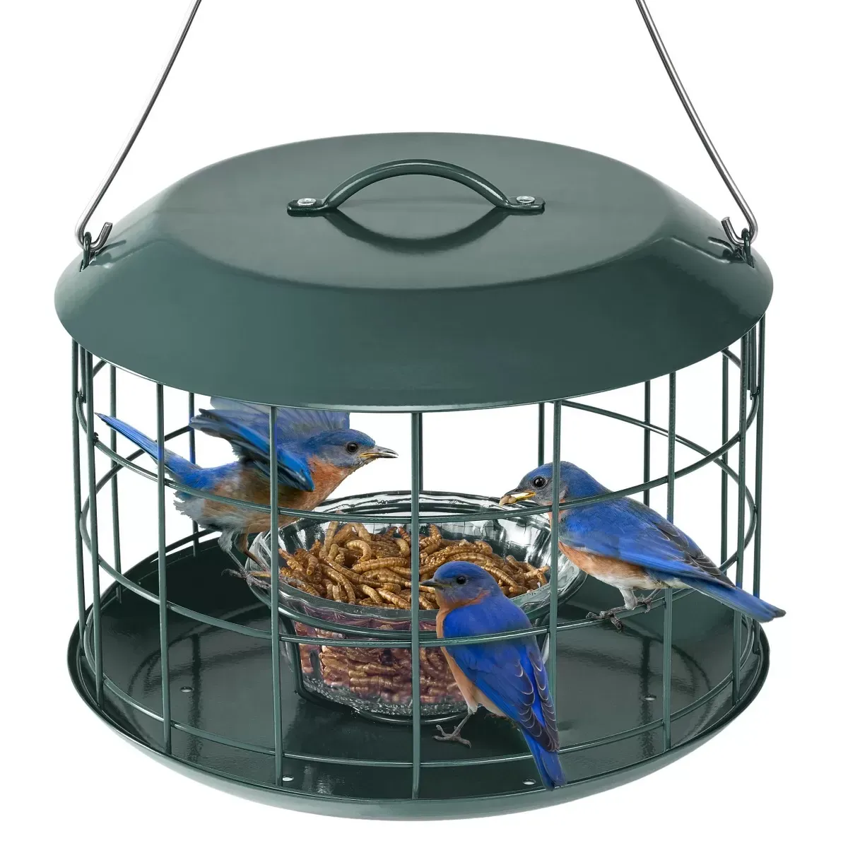 Dark Green Kingsyard Metal Caged Squirrel Proof Bluebird Feeders 2