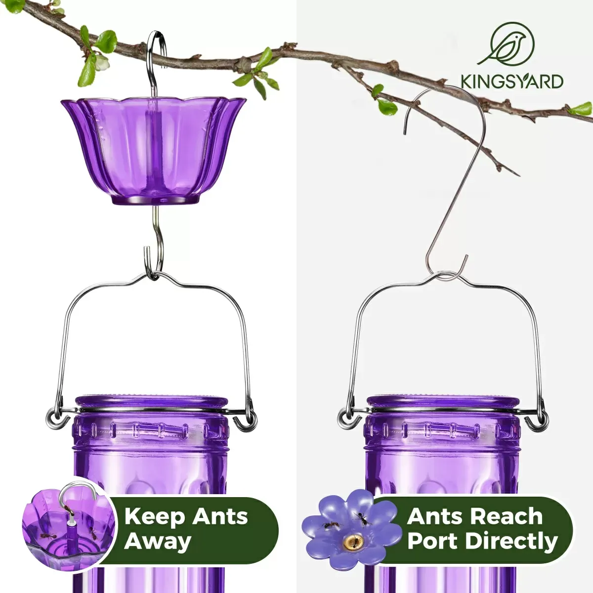 Purple Kingsyard 2-Pack Ant Moat for Hummingbird Feeders 6