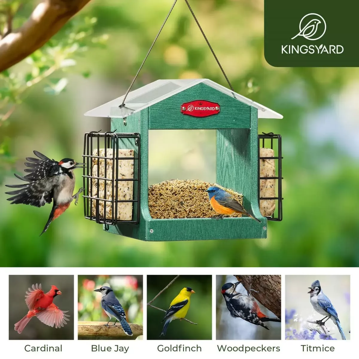 Green Kingsyard Recycled Plastic Double Suet Wild Bird Feeder 7