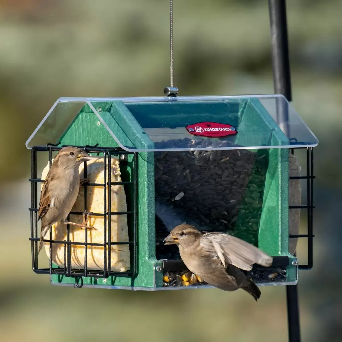 Kingsyard Weatherproof Double Suet Hopper Bird Feeder