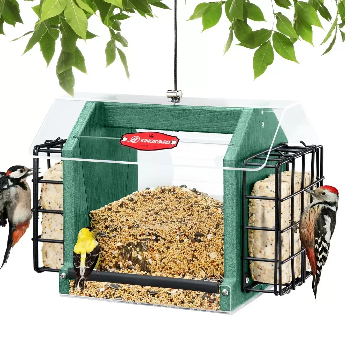 Kingsyard Weatherproof Double Suet Hopper Bird Feeder 2 Kingsyard Weatherproof Double Suet Hopper Bird Feeder 2