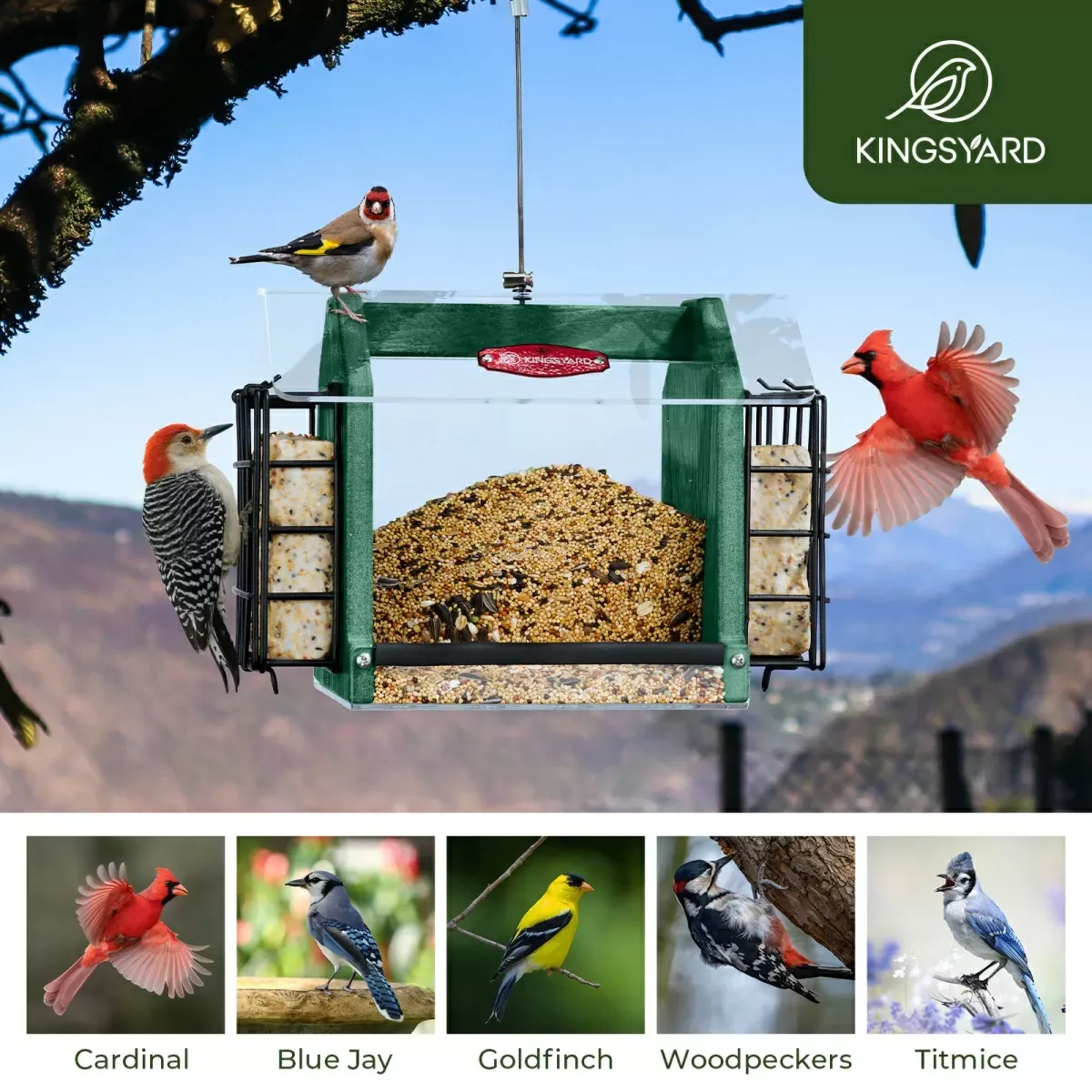 Green Kingsyard Weatherproof Double Suet Hopper Bird Feeder 6