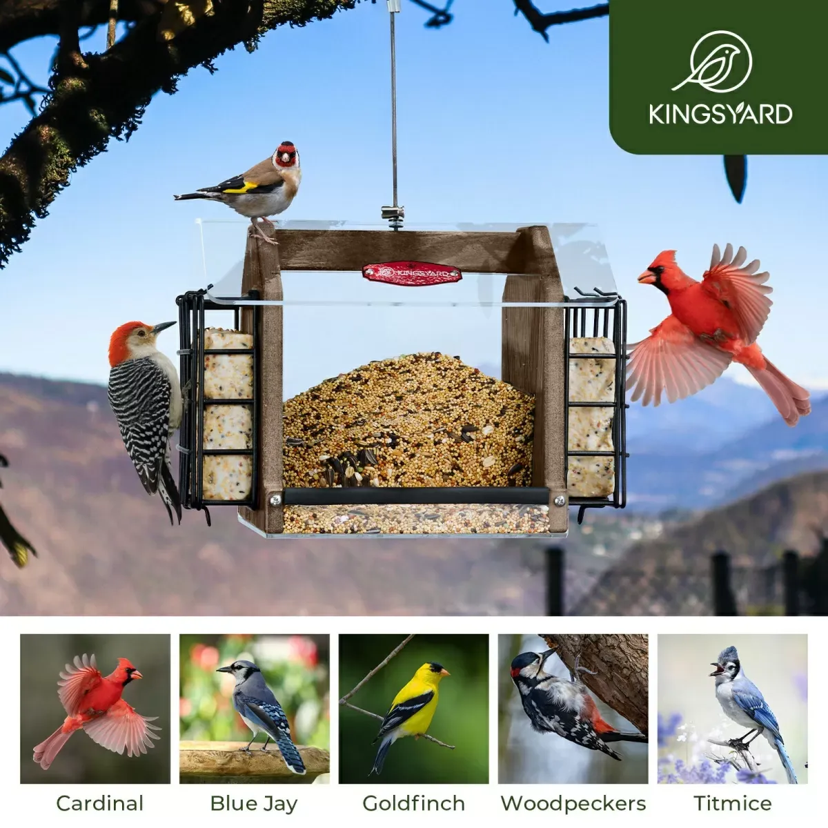 Brown Kingsyard Weatherproof Double Suet Hopper Bird Feeder 6
