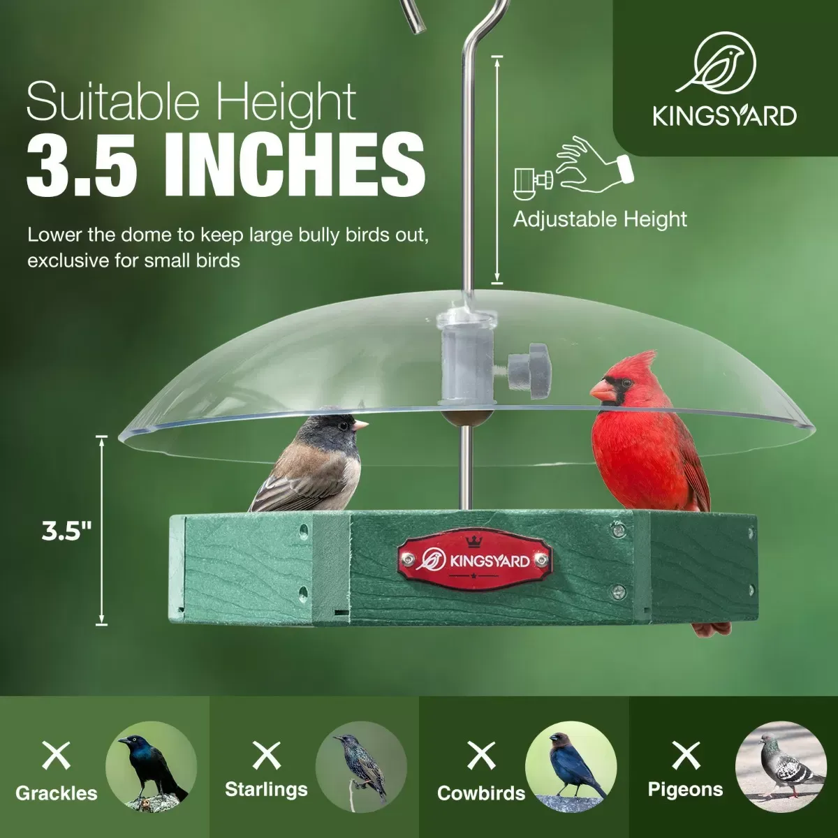 Green Kingsyard Recycled Plastic Platform Bird Feeder with Adjustable Dome 7