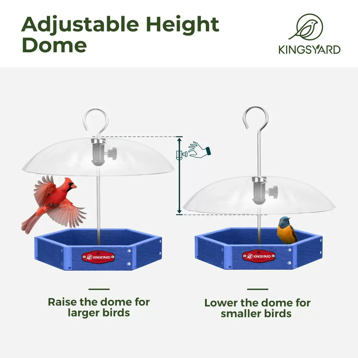 Blue Kingsyard Recycled Plastic Platform Bird Feeder with Adjustable Dome 4