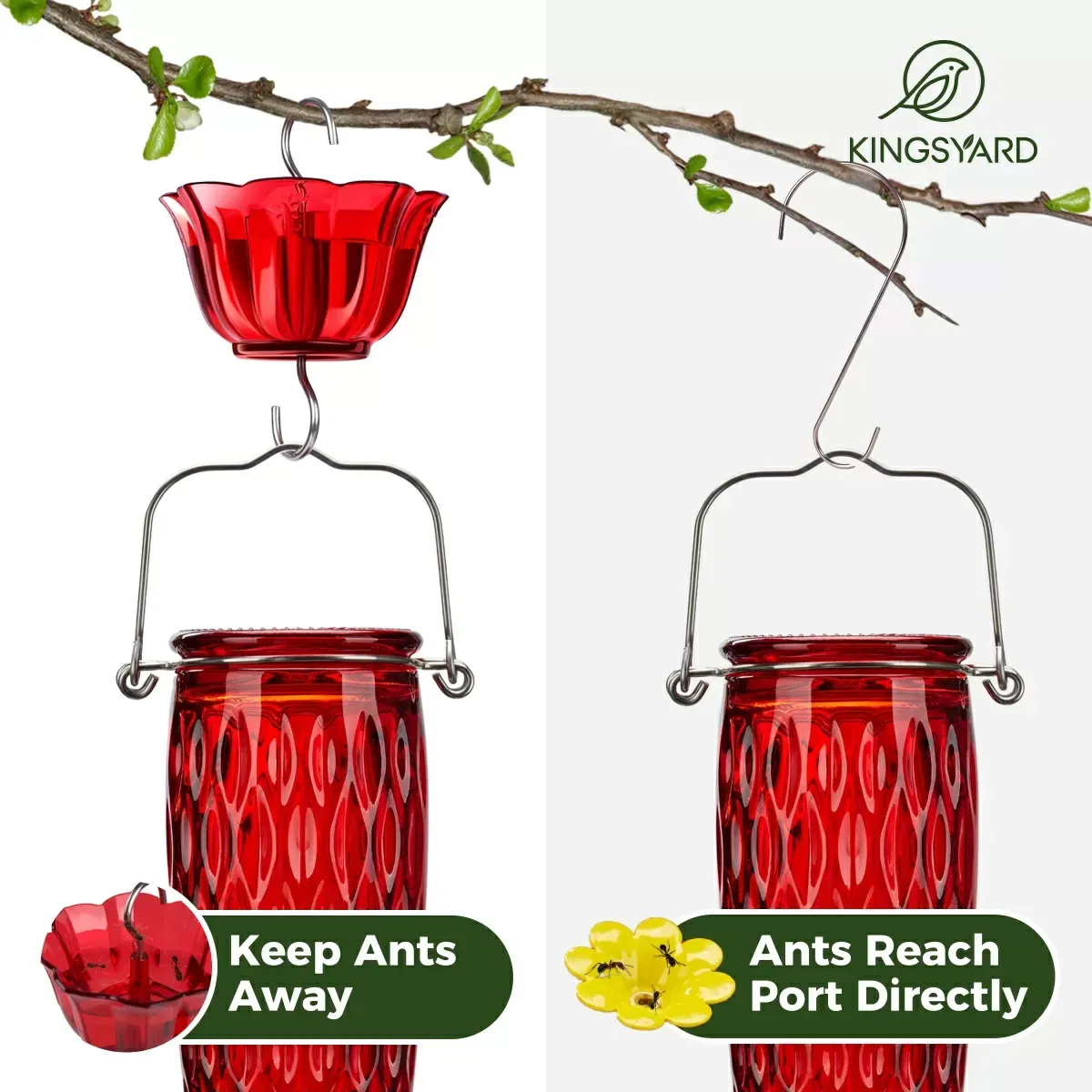 Red Kingsyard 24oz Glass Hummingbird Feeder with Ant Moat 7 Red Kingsyard 24oz Glass Hummingbird Feeder with Ant Moat 7