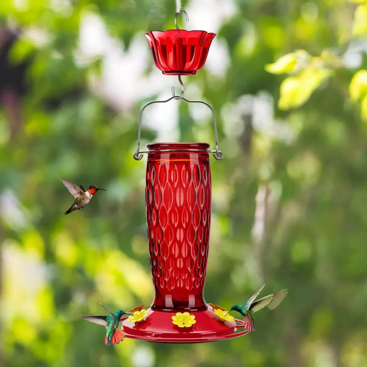 Red Kingsyard 24oz Glass Hummingbird Feeder with Ant Moat 1 Red Kingsyard 24oz Glass Hummingbird Feeder with Ant Moat 1