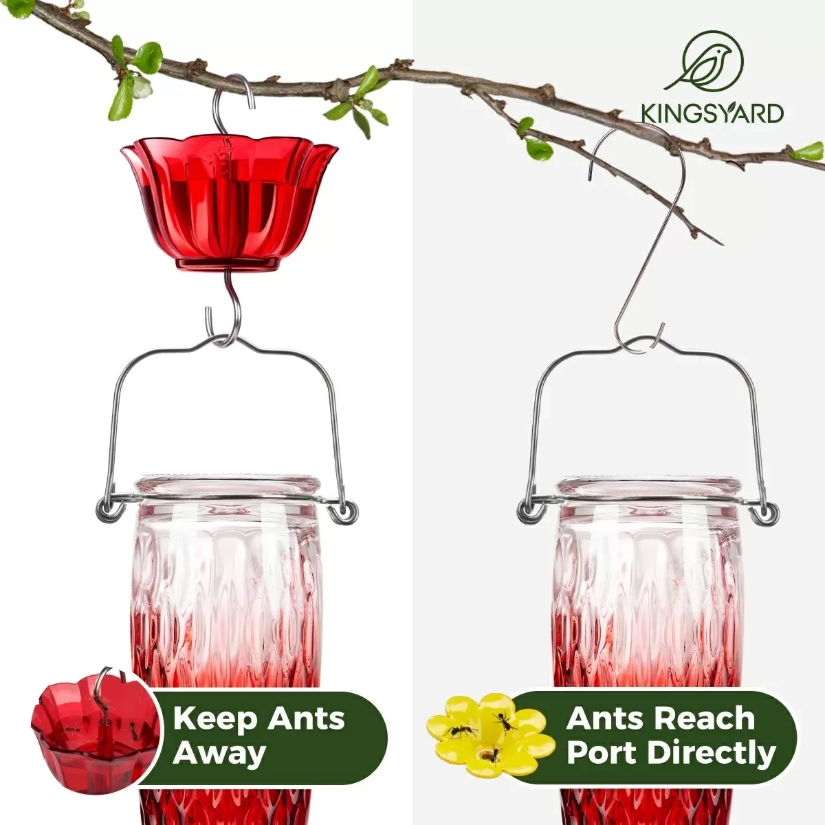 Red Gradient Kingsyard 24oz Glass Hummingbird Feeder with Ant Moat 7 Red Gradient Kingsyard 24oz Glass Hummingbird Feeder with Ant Moat 7