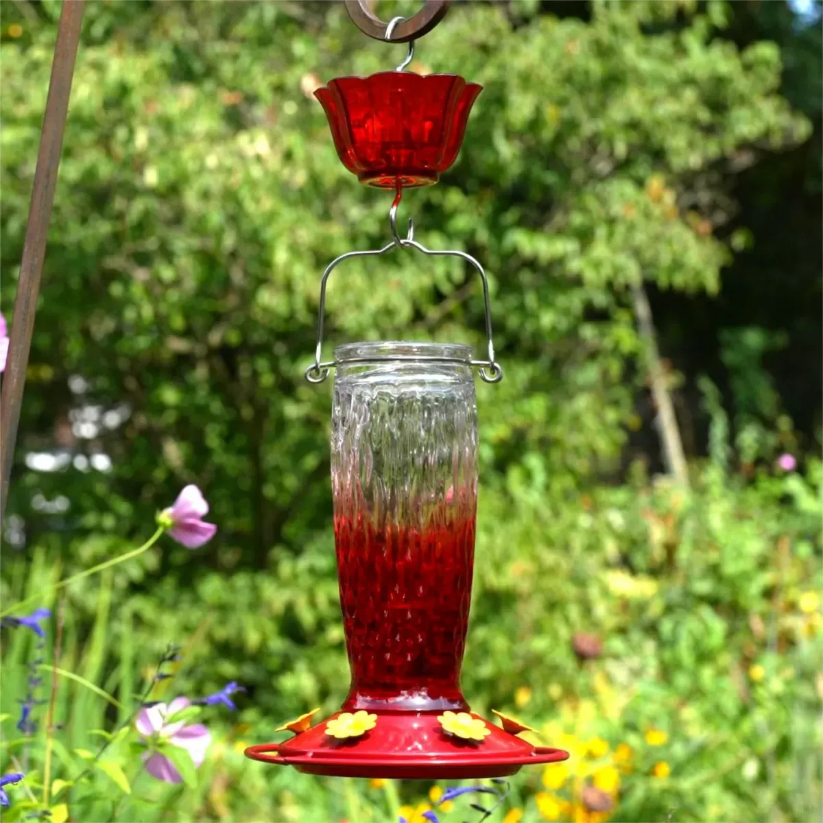 Red Gradient Kingsyard 24oz Glass Hummingbird Feeder with Ant Moat 1 Red Gradient Kingsyard 24oz Glass Hummingbird Feeder with Ant Moat 1