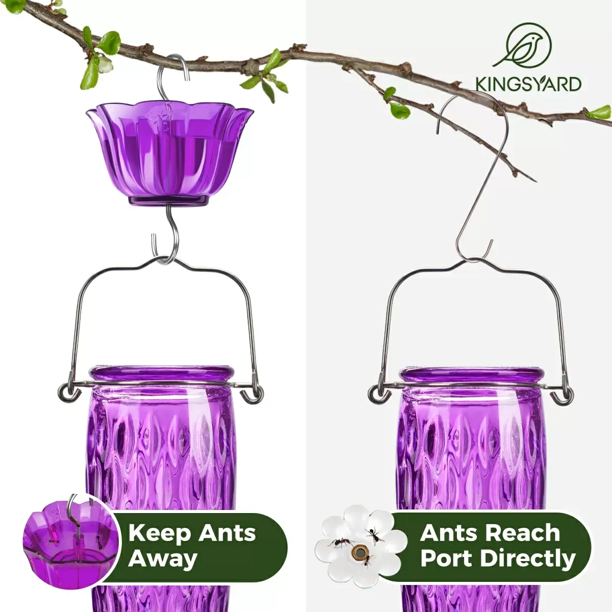 Purple Kingsyard 24oz Glass Hummingbird Feeder with Ant Moat 7