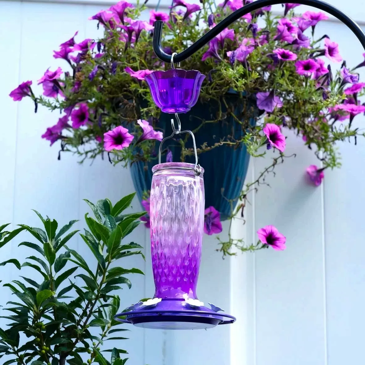 Pink & Purple Kingsyard 24oz Glass Hummingbird Feeder with Ant Moat 1