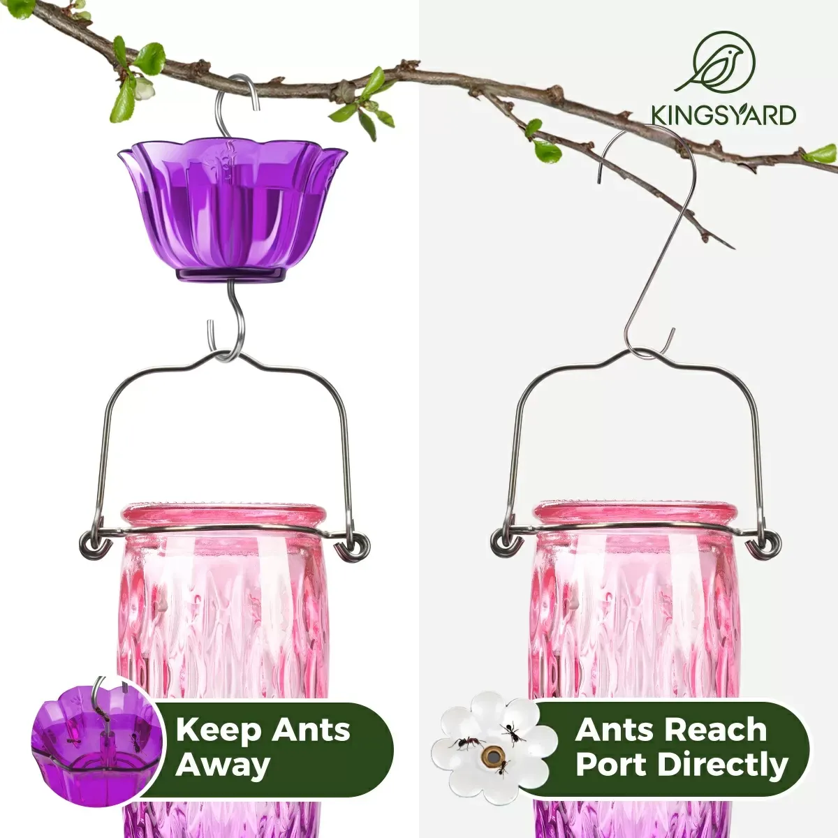 Pink & Purple Kingsyard 24oz Glass Hummingbird Feeder with Ant Moat 7