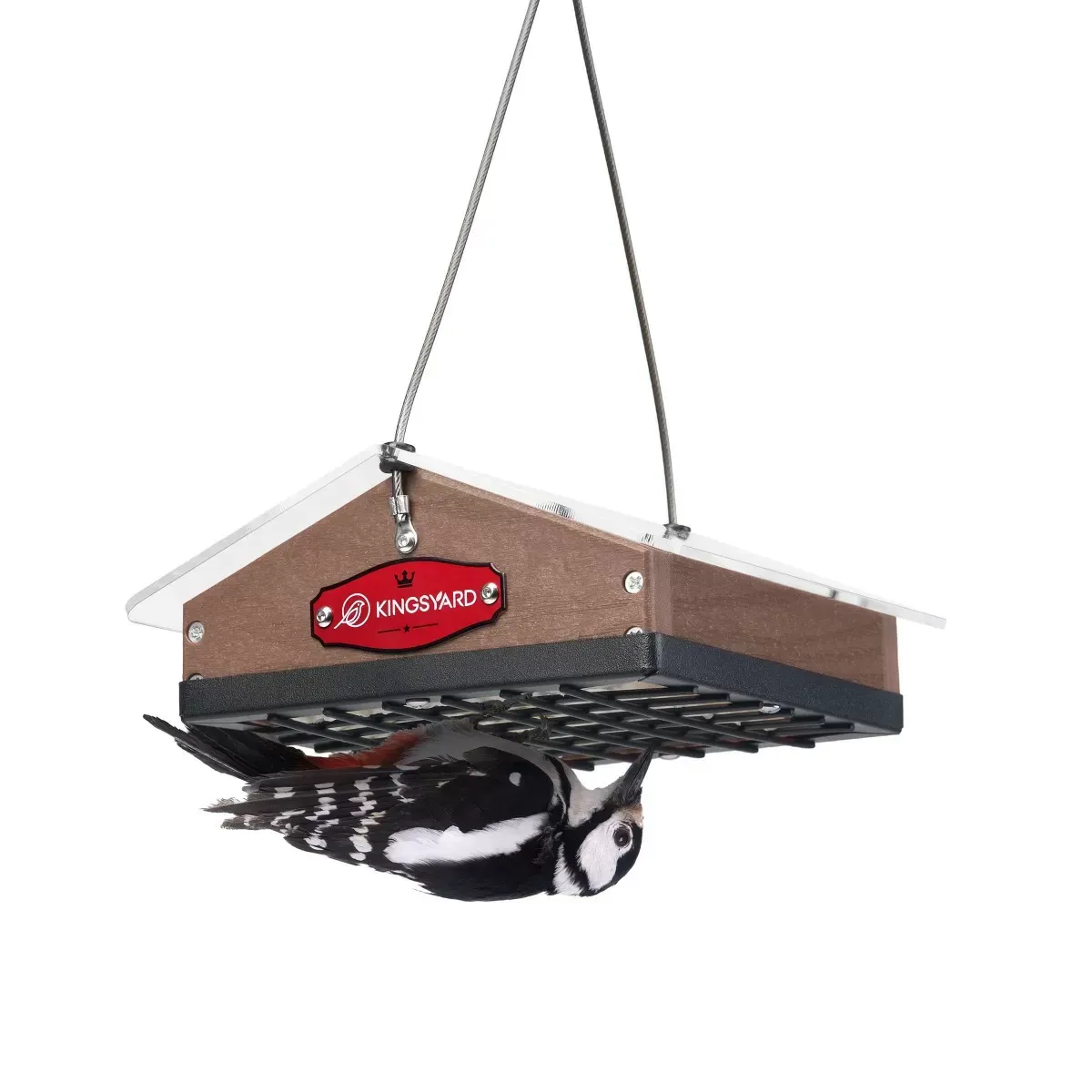 Brown Kingsyard Upside Down Squirrel Proof Suet Feeder 2