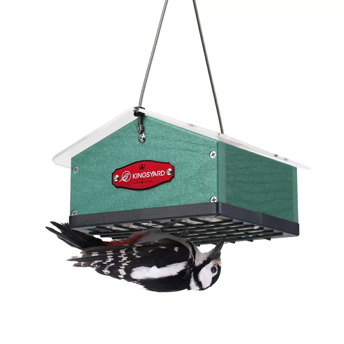 Kingsyard Upside Down Squirrel Proof Double Suet Feeder 2