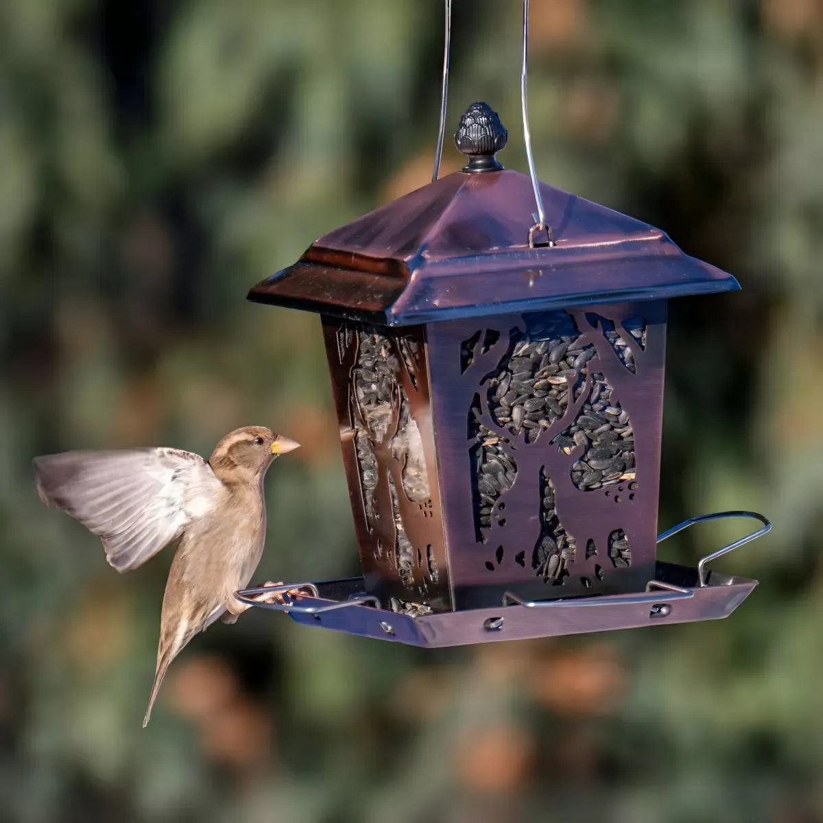 Kingsyard Weatherproof Metal Hopper Bird Feeder