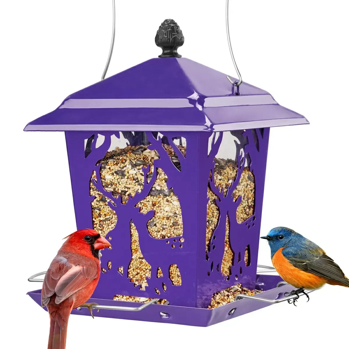 Purple Kingsyard Weatherproof Metal Hopper Bird Feeder 2