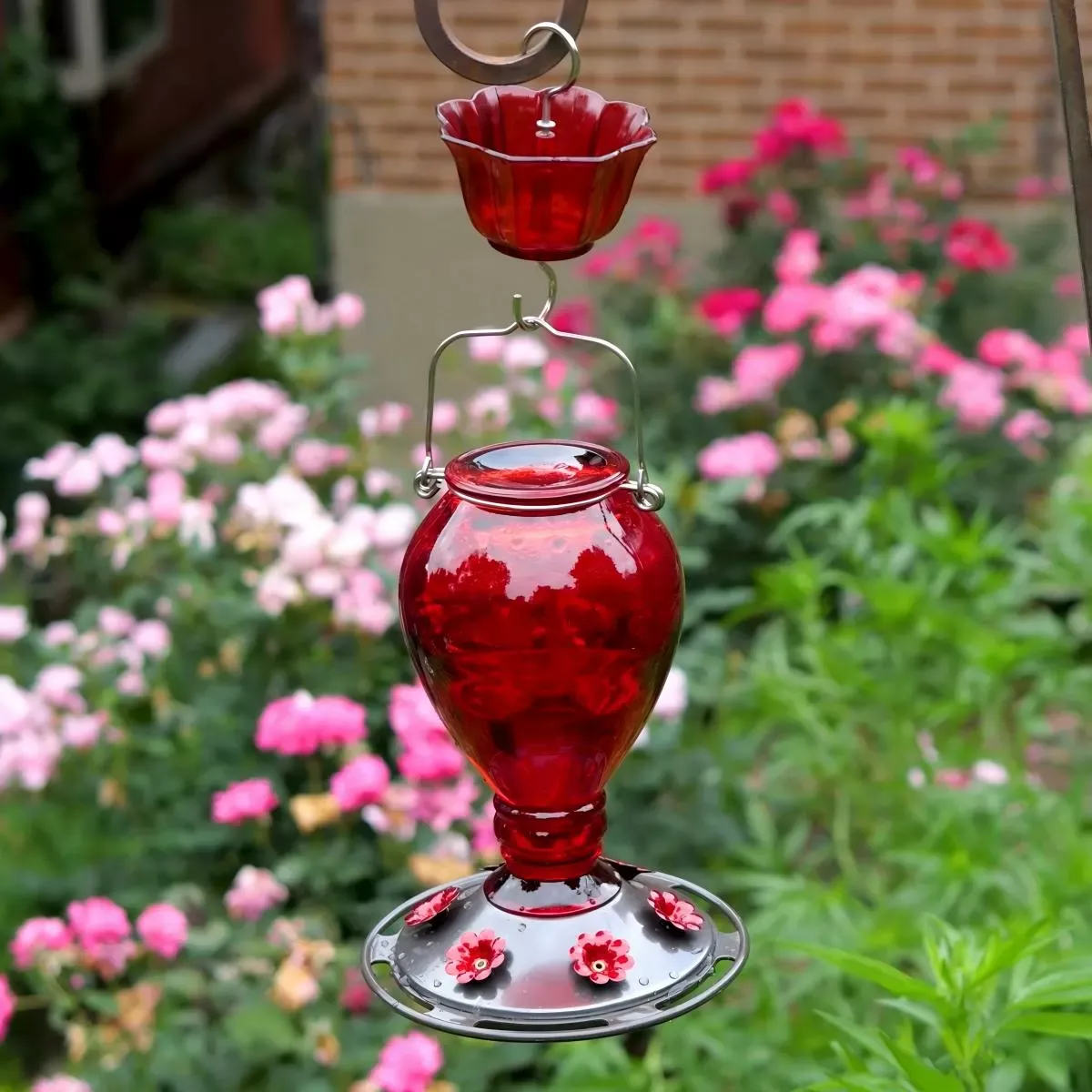 Kingsyard 24oz Leak Proof Glass Hummingbird Feeder with Ant Moat